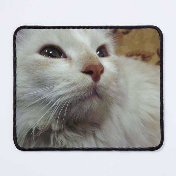 Item preview, cat lover - smart shoot designed and sold by Mahmoud Salah.