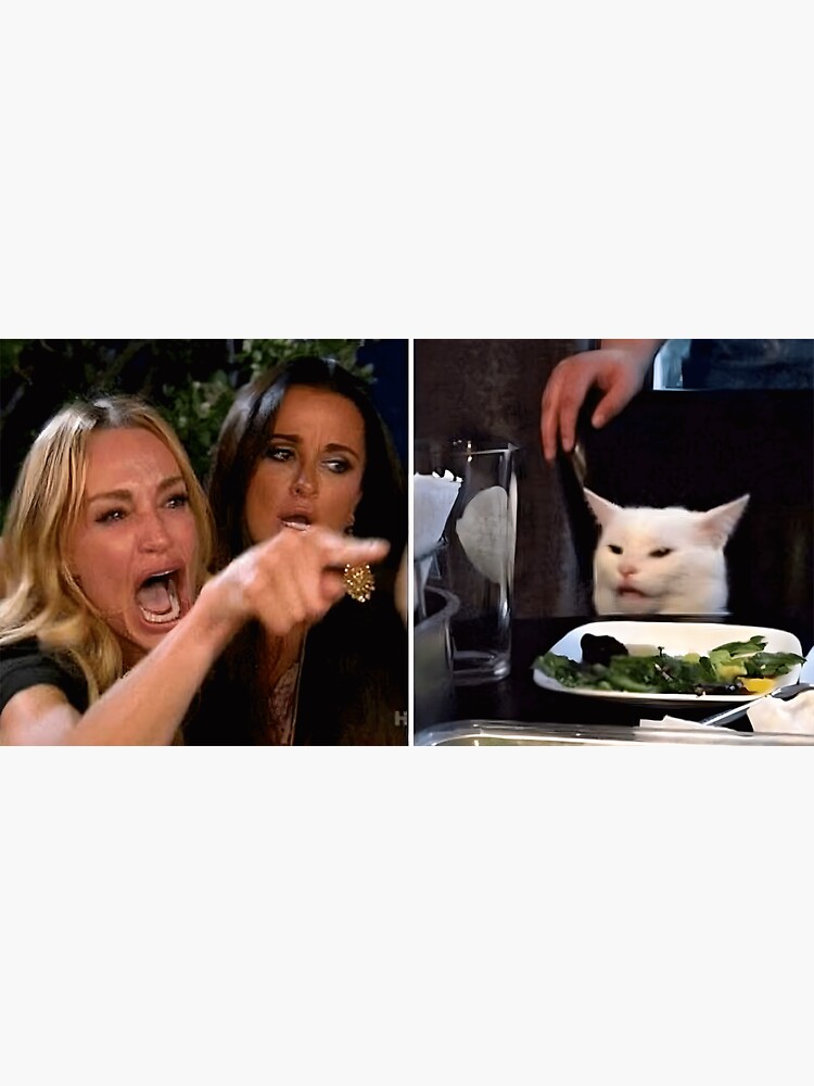 "What is the Cat Meme? The 'Woman Yells At Cat' Meme, Explained