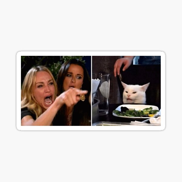 "What is the Cat Meme? The 'Woman Yells At Cat' Meme, Explained