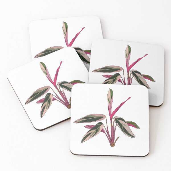 Item preview, Stromanthe designed and sold by CarlaTheeArtist.