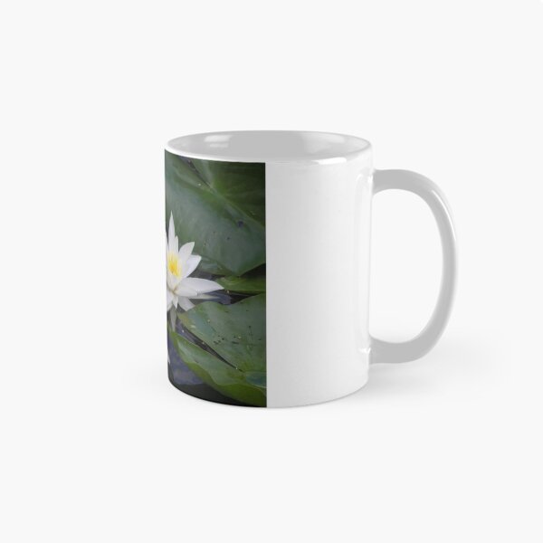 Item preview, Three white waterlilies designed and sold by KerstinB.