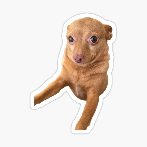 Mr. Mouse Sticker