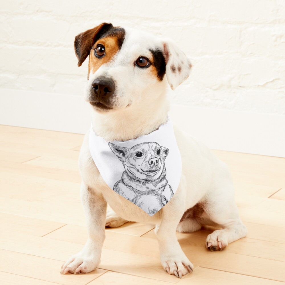 Item preview, Pet Bandana designed and sold by Cheddariniii.