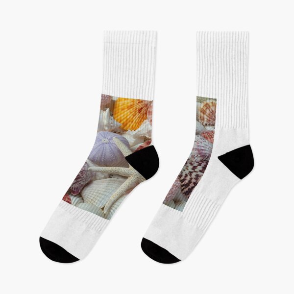 Item preview, White Starfish With Sea Urchins designed and sold by Garry Gay.
