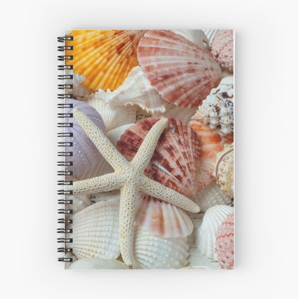 Item preview, White Starfish With Sea Urchins designed and sold by Garry Gay.