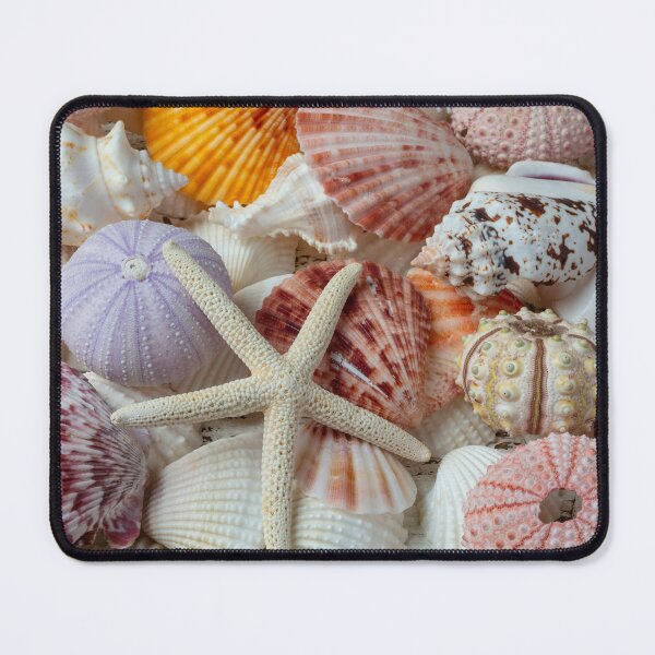 Item preview, White Starfish With Sea Urchins designed and sold by Garry Gay.