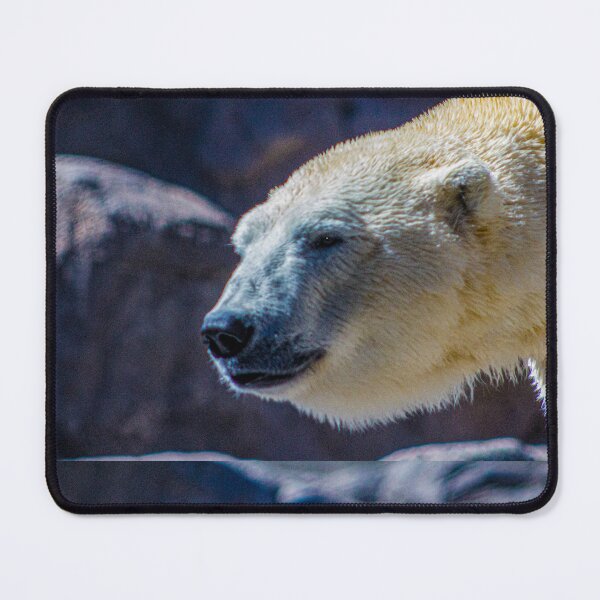 Item preview, Polar Bear 01 Image By Rich AMeN Gill designed and sold by RichAMeNGill.