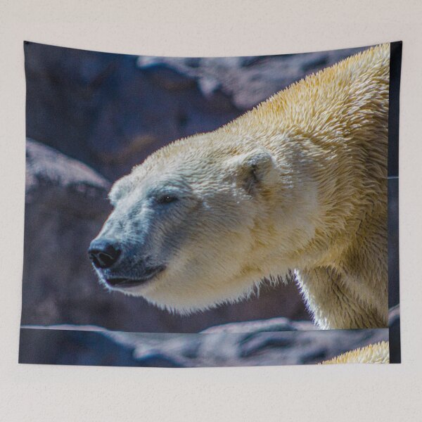 Item preview, Polar Bear 01 Image By Rich AMeN Gill designed and sold by RichAMeNGill.