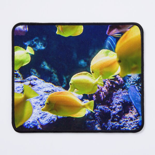 Item preview, Yellow Tangs Image By Rich AMeN Gill designed and sold by RichAMeNGill.