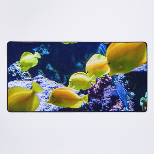 Item preview, Yellow Tangs Image By Rich AMeN Gill designed and sold by RichAMeNGill.