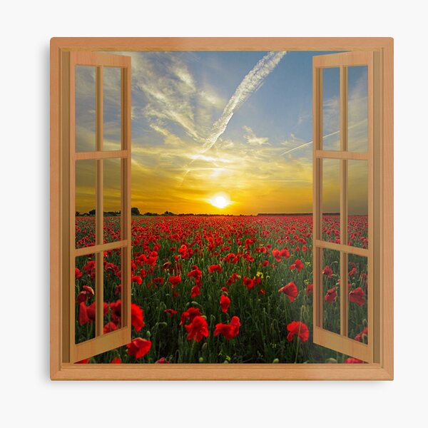 Red Poppies landscape window view Metal Print