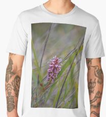 Oak Leaf Grevillea (G.quercifolia), Men's Premium T-Shirt