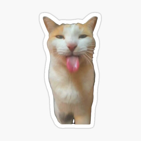 Silly cat stickers set –