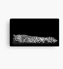 Sleeping Canvas Print