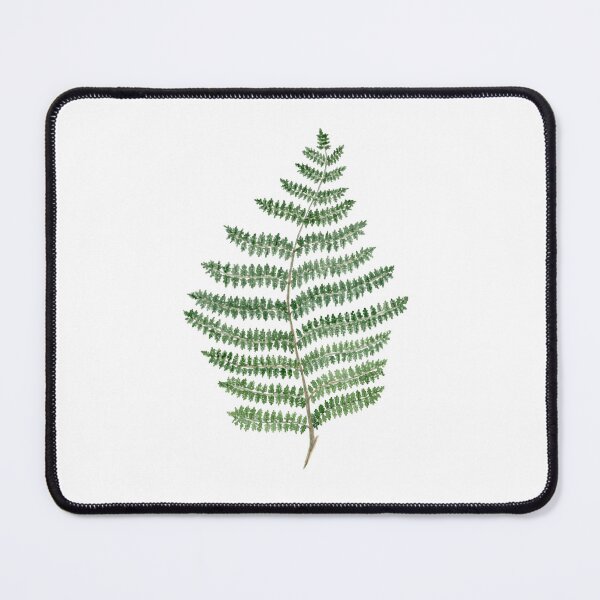 Item preview, Watercolour Fern ii designed and sold by TBC-1108.