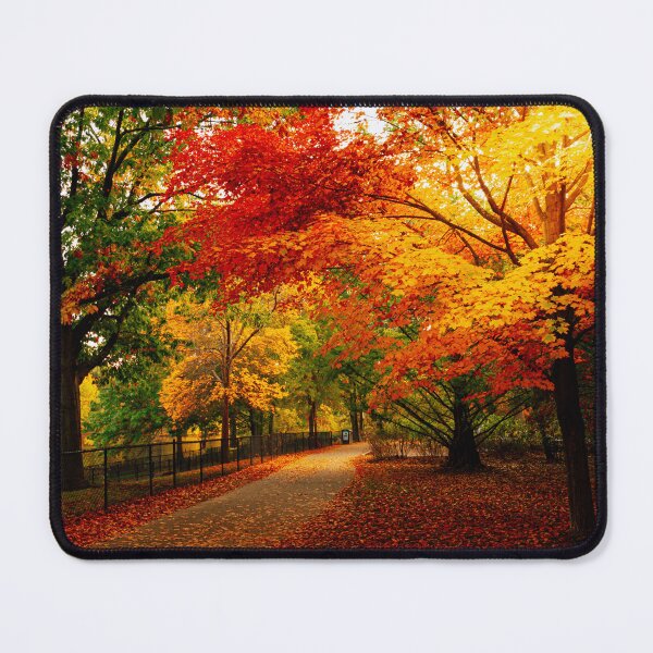 Item preview, Autumn in Olmstead Park designed and sold by LudaNayvelt.
