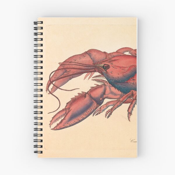 Item preview, James Sowerby  Serrated Lobster designed and sold by OldTimeArt.