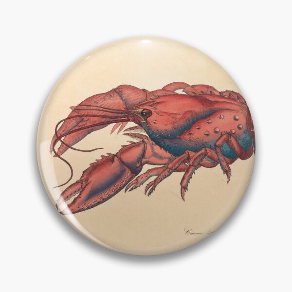 Item preview, James Sowerby  Serrated Lobster designed and sold by OldTimeArt.