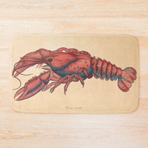 Item preview, James Sowerby  Serrated Lobster designed and sold by OldTimeArt.