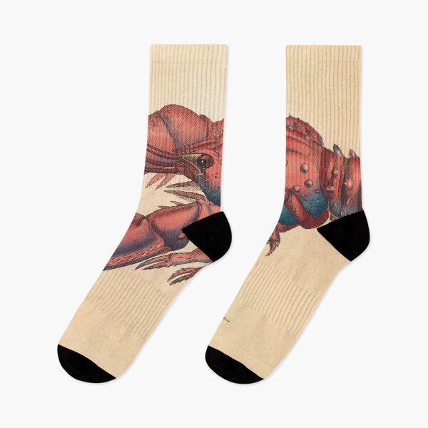 Item preview, James Sowerby  Serrated Lobster designed and sold by OldTimeArt.
