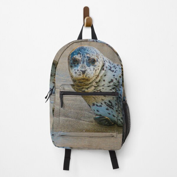 Item preview, Lone Sea Lion Image by Rich AMeN Gill designed and sold by RichAMeNGill.