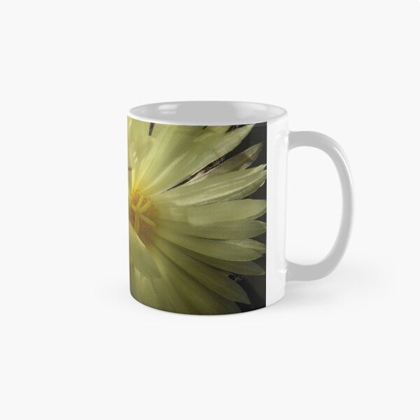 Item preview, Double Cactus Flower designed and sold by KerstinB.