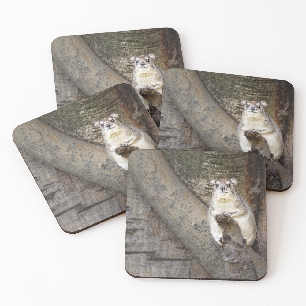 Item preview, Coasters (Set of 4) designed and sold by owedtonature.