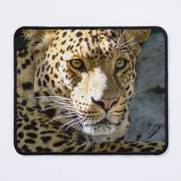 Item preview, "Leopard Stare" Design by Rich AMeN Gill designed and sold by RichAMeNGill.
