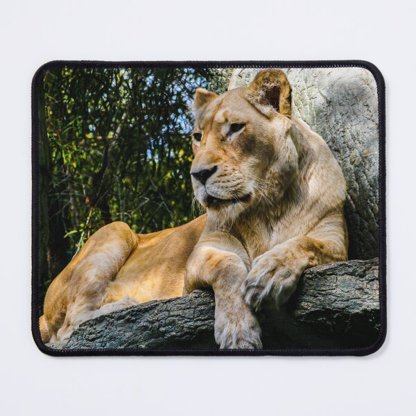 Item preview, "Lioness 01" Image by Rich AMeN Gill designed and sold by RichAMeNGill.