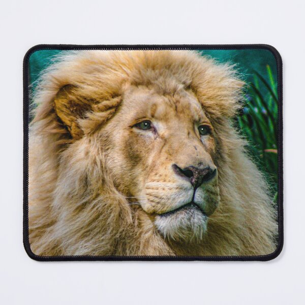 Item preview, Male Lion 01 Image By Rich AMeN Gill designed and sold by RichAMeNGill.
