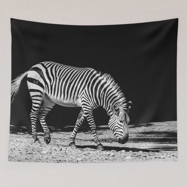 Item preview, Zebra Black And White  designed and sold by AnimalLover4eva.