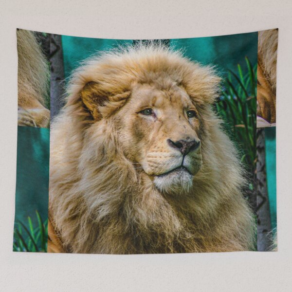 Item preview, Male Lion 01 Image By Rich AMeN Gill designed and sold by RichAMeNGill.