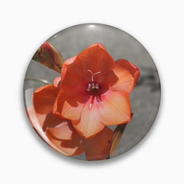 Item preview, Peachy freesias designed and sold by greentiger1.