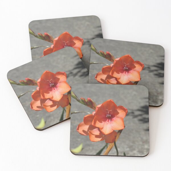 Item preview, Peachy freesias designed and sold by greentiger1.