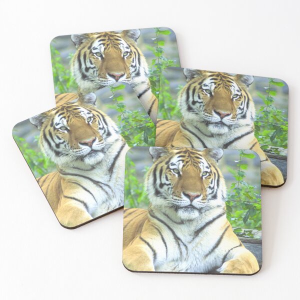 Item preview, Tiger At Rest designed and sold by TheAnimalZ00.