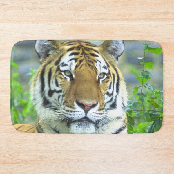 Item preview, Tiger At Rest designed and sold by TheAnimalZ00.