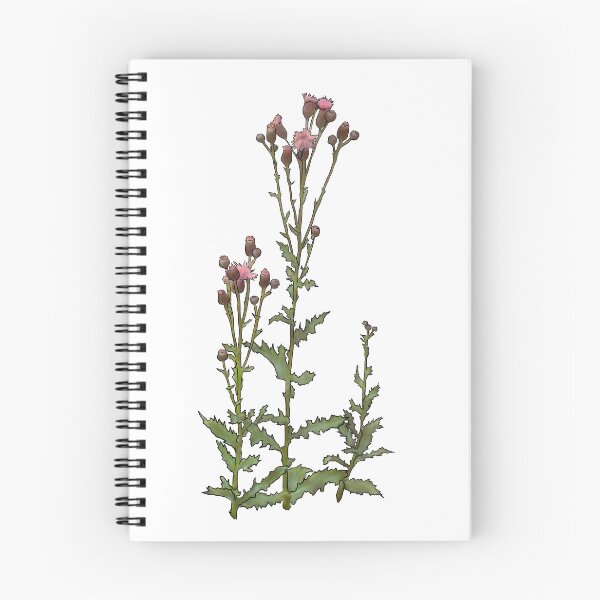 Item preview, Canada Thistle designed and sold by jenmstudio.