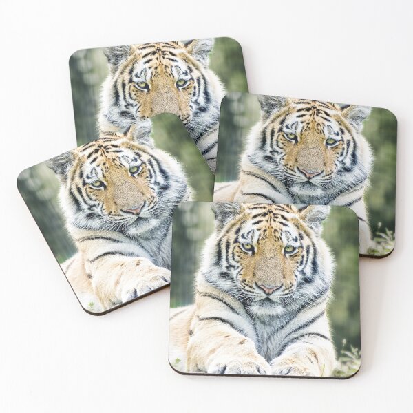 Item preview, Beautiful Siberian Tiger designed and sold by TheAnimalZ00.