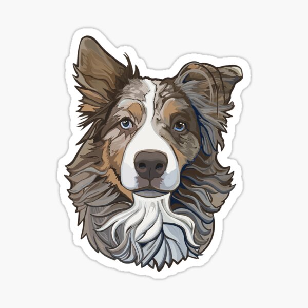 "Blueeyed Merle Aussie Head" Sticker for Sale by Sweetauss Redbubble