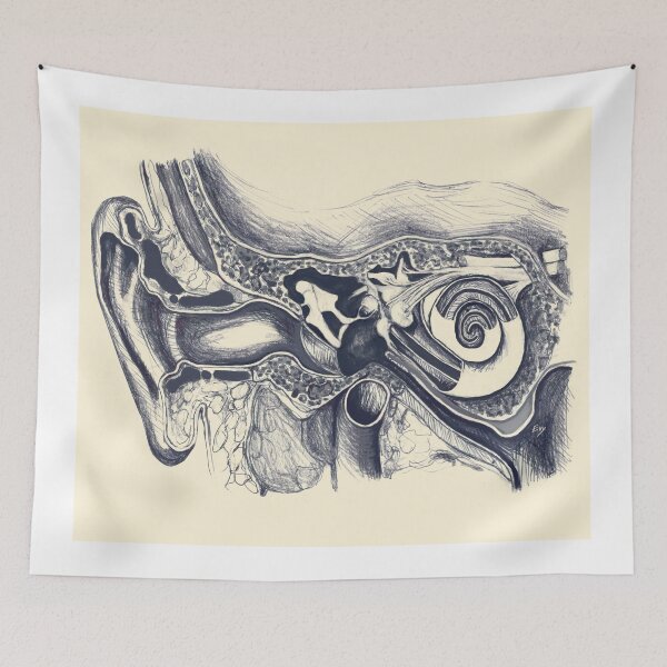 Item preview, Inner ear anatomy designed and sold by TYillustrations.