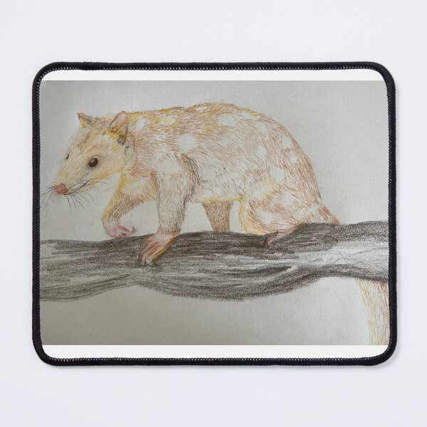 Item preview, Spotted Quoll designed and sold by ChrissyWild.