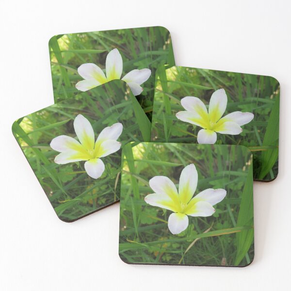 Item preview, White and yellow freesia designed and sold by greentiger1.
