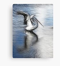 Pelican dreams Metal Print