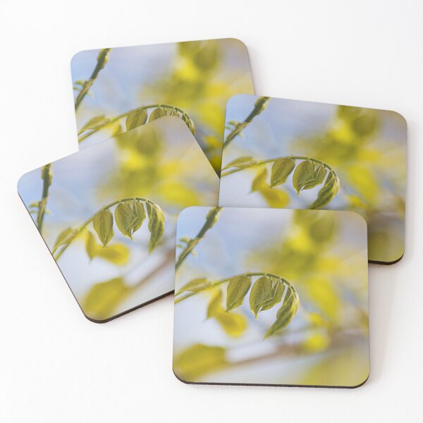 Item preview, Wisteria In Foliage designed and sold by Joy Watson - Natural Light Photography .