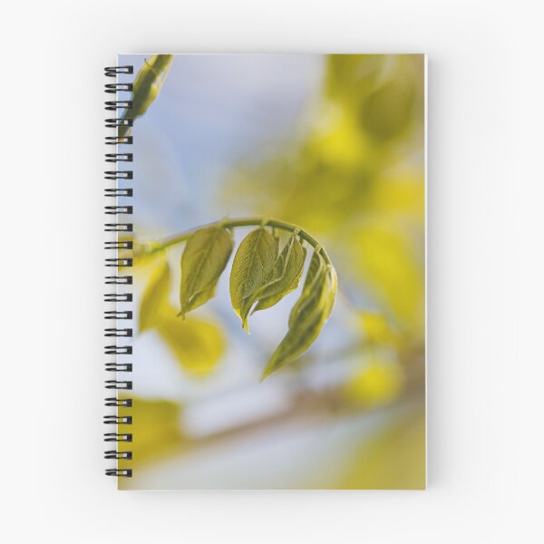 Item preview, Wisteria In Foliage designed and sold by Joy Watson - Natural Light Photography .