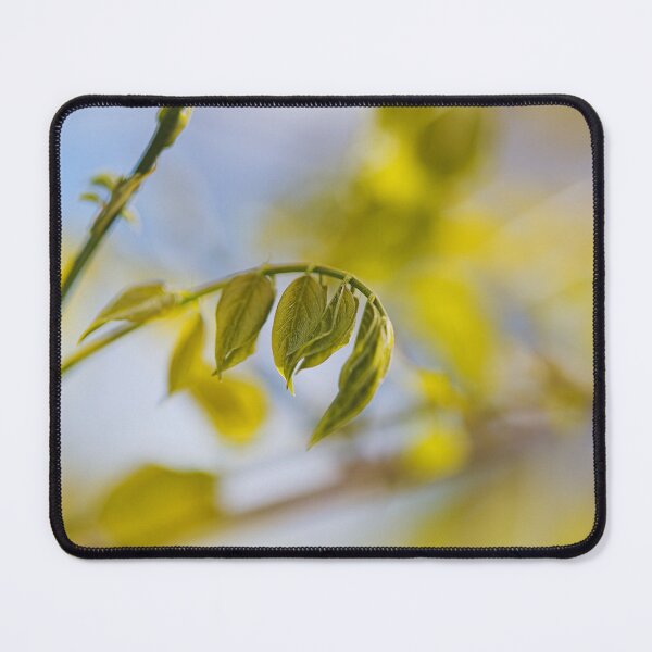 Item preview, Wisteria In Foliage designed and sold by Joy Watson - Natural Light Photography .
