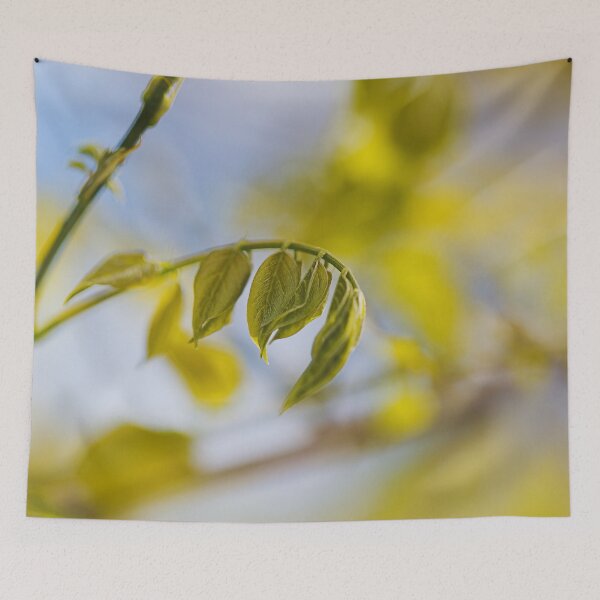 Item preview, Wisteria In Foliage designed and sold by Joy Watson - Natural Light Photography .