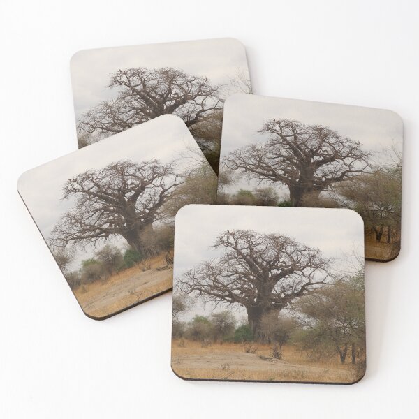 Item preview, Africa, Tanzania, trees, baobab, baobab, photography, BebiCervin designed and sold by BebiCervin.