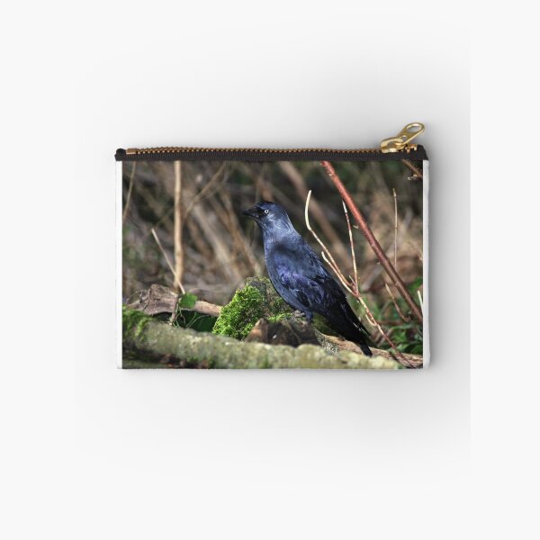 Item preview, Jackdaw designed and sold by larry flewers.