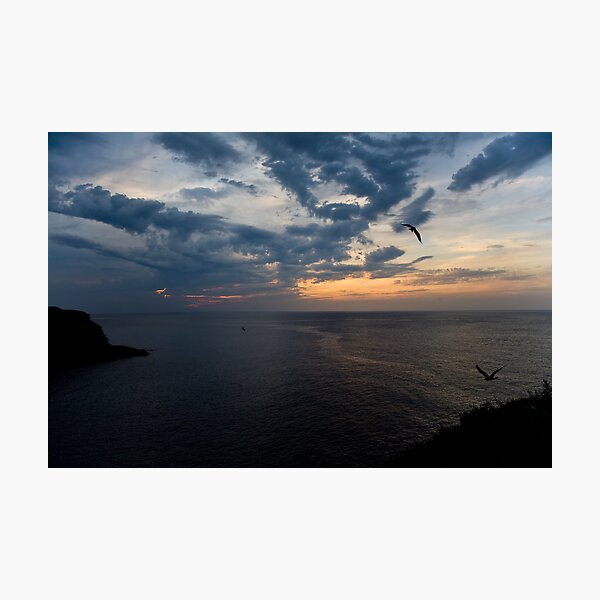 Wings of Nyx Photographic Print